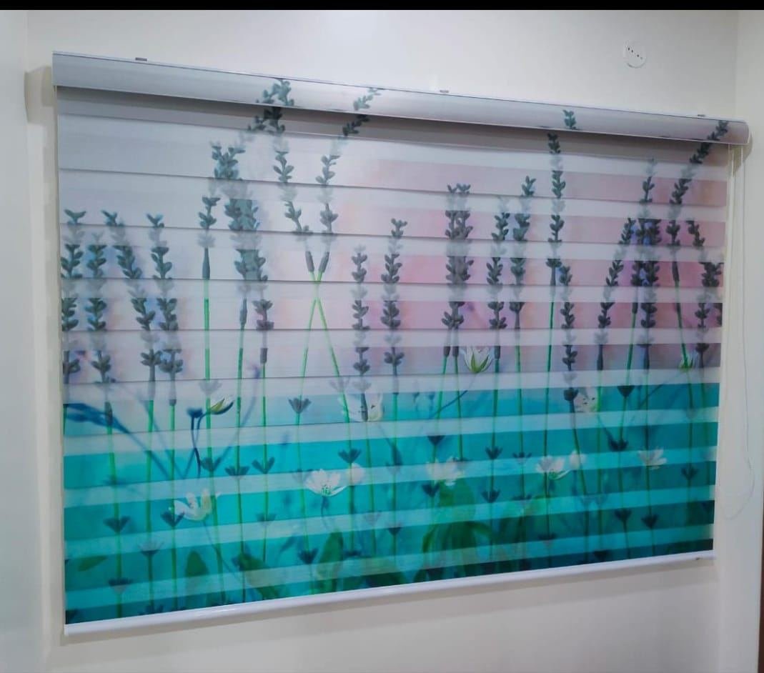 Window Blinds